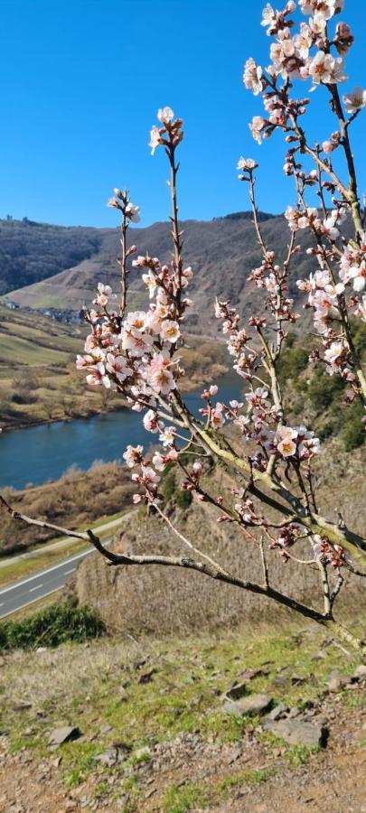 Ferienhaus Kaliva Zell an der Mosel Esterno foto